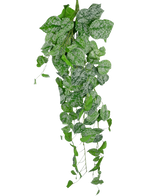 La Plante Artificielle Suspendue Scindapsus 90 cm est une plante grimpante suspendue dont les feuilles vertes en forme de cœur sont décorées de mouchetures blanc argenté, qui retombent sur un fond uni blanc.