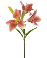 Sur une tige de la fleur artificielle Lys asiatique 66 cm vieux rose se trouvent plusieurs lys roses en fleurs avec des feuilles vertes sur un fond blanc uni.