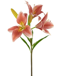 Fleur artificielle Lys asiatique 66 cm vieux rose