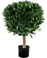 La plante de Laurier Artificiel UV d55 cm possède un tronc droit et une grappe dense et ronde de feuilles vertes brillantes, présentées dans un contenant noir sur fond blanc.