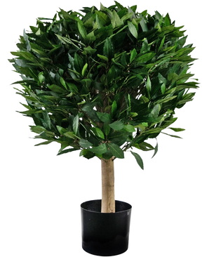 La plante de Laurier Artificiel UV d55 cm possède un tronc droit et une grappe dense et ronde de feuilles vertes brillantes, présentées dans un contenant noir sur fond blanc.