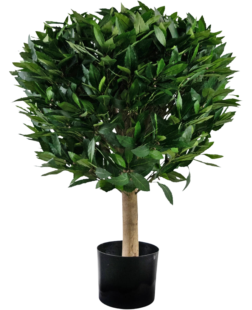 La plante de Laurier Artificiel UV d55 cm possède un tronc droit et une grappe dense et ronde de feuilles vertes brillantes, présentées dans un contenant noir sur fond blanc.