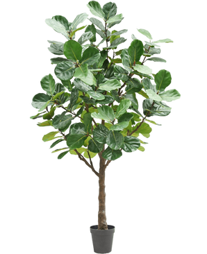 L'arbre à tabac artificiel 270 cm est un grand arbre artificiel avec de grandes feuilles vertes luxuriantes et un tronc marron robuste, dans un petit pot noir sur un fond blanc uni.
