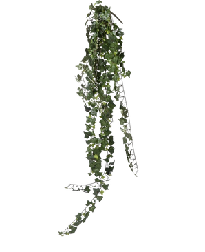 Un seul brin de lierre artificiel suspendu de 125 cm, ignifuge, avec des feuilles vert foncé en forme de cœur, pend sur un fond blanc uni.