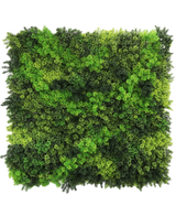 La haie artificielle Fairyland Moss 100x100 cm UV est un panneau carré avec une mousse verte dense et vibrante dans différentes nuances, offrant un aspect texturé et naturel parfait sur un fond blanc.