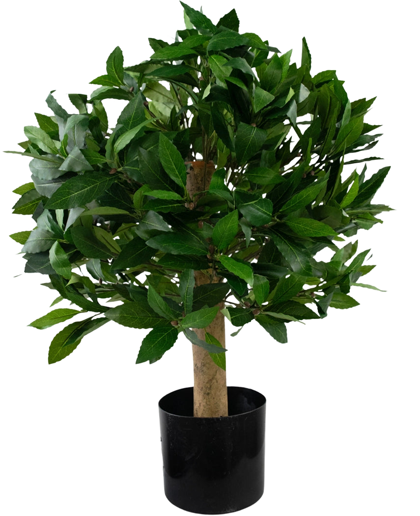 La plante Laurier Artificiel UV d40 cm est un petit arbre artificiel aux feuilles vertes denses dans un pot noir, représenté sur un fond blanc uni.