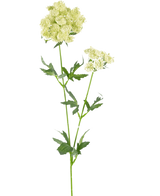 La Fleur Artificielle Lace Flower 76 cm blanche est une tige artificielle unique avec des bouquets de petites fleurs vert clair-blanc et des feuilles vertes dentelées et profondément lobées, sur un fond blanc uni.