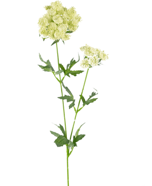 La Fleur Artificielle Lace Flower 76 cm blanche est une tige artificielle unique avec des bouquets de petites fleurs vert clair-blanc et des feuilles vertes dentelées et profondément lobées, sur un fond blanc uni.