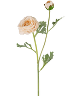 La renoncule artificielle Real Touch Crème 60 cm a une seule tige de renoncule de couleur pêche avec des pétales superposés, un bourgeon fermé plus petit et des feuilles lobées vertes, le tout magnifiquement détaillé et isolé sur un fond blanc.