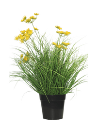 Plante de gazon artificiel Asteraceae 50 cm