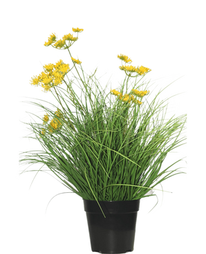 Le gazon artificiel Asteraceae 50 cm ignifuge a de longues et fines feuilles vertes et de petites fleurs jaunes dans un pot noir, qui donne un aspect vert - un gazon artificiel parfait dans la maison sur un fond blanc uni.