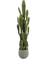 Le Cactus Artificiel 100 cm a de hauts bras verticaux droits avec des crêtes, dans un pot rond gris sur un fond blanc uni.