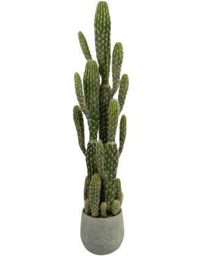 Le Cactus Artificiel 100 cm a de hauts bras verticaux droits avec des crêtes, dans un pot rond gris sur un fond blanc uni.