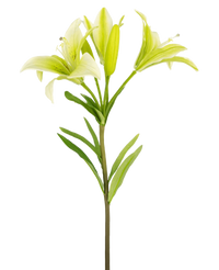 Fleur artificielle Lys asiatique 66 cm blanc
