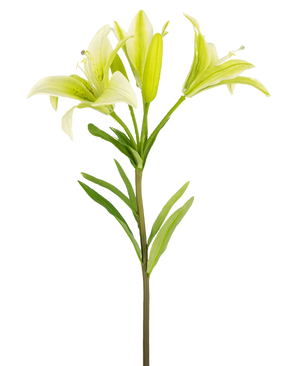 La Fleur Artificielle Lys Asiatique 66 cm blanc a une seule tige avec des feuilles vertes et trois fleurs de lys vert clair - deux entièrement ouvertes, une en bouton - présentées sur un fond blanc uni.