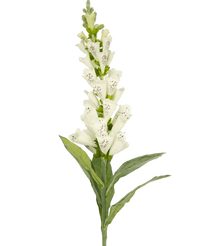 Fleur artificielle Foxglove 90 cm blanc