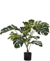 La Plante Artificielle Monstera 85 cm est une plante artificielle aux grandes feuilles vertes brillantes avec des fentes et des trous caractéristiques, présentées dans un simple pot noir sur fond blanc.