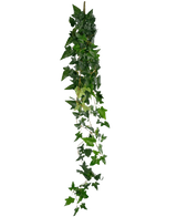 La plante suspendue artificielle Lierre Boston 120 cm vert possède un long brin de lierre vert artificiel avec des feuilles denses et pointues qui tombent sur un fond blanc uni.