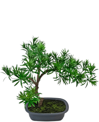 Plante artificielle Bonsai Podocarpus 40 cm