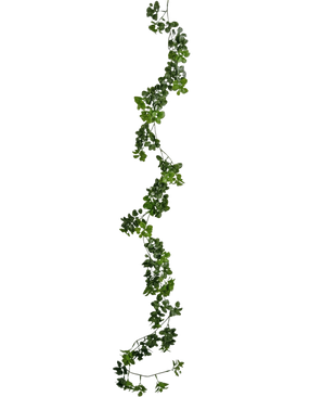 La plante grimpante artificielle Gardenia 157 cm possède une seule et longue vigne verte avec de petites feuilles qui pendent verticalement sur un fond blanc uni.