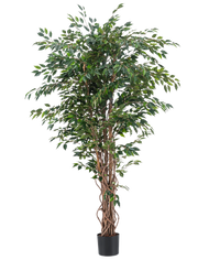 Plante artificielle Ficus Liana 180 cm