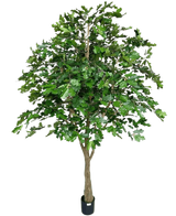 De Kunst Eikenboom 270 cm heeft dichte groene bladeren en een dikke bruine stam in een kleine zwarte pot, tegen een witte achtergrond - perfect als kunstboom voor binnen.
