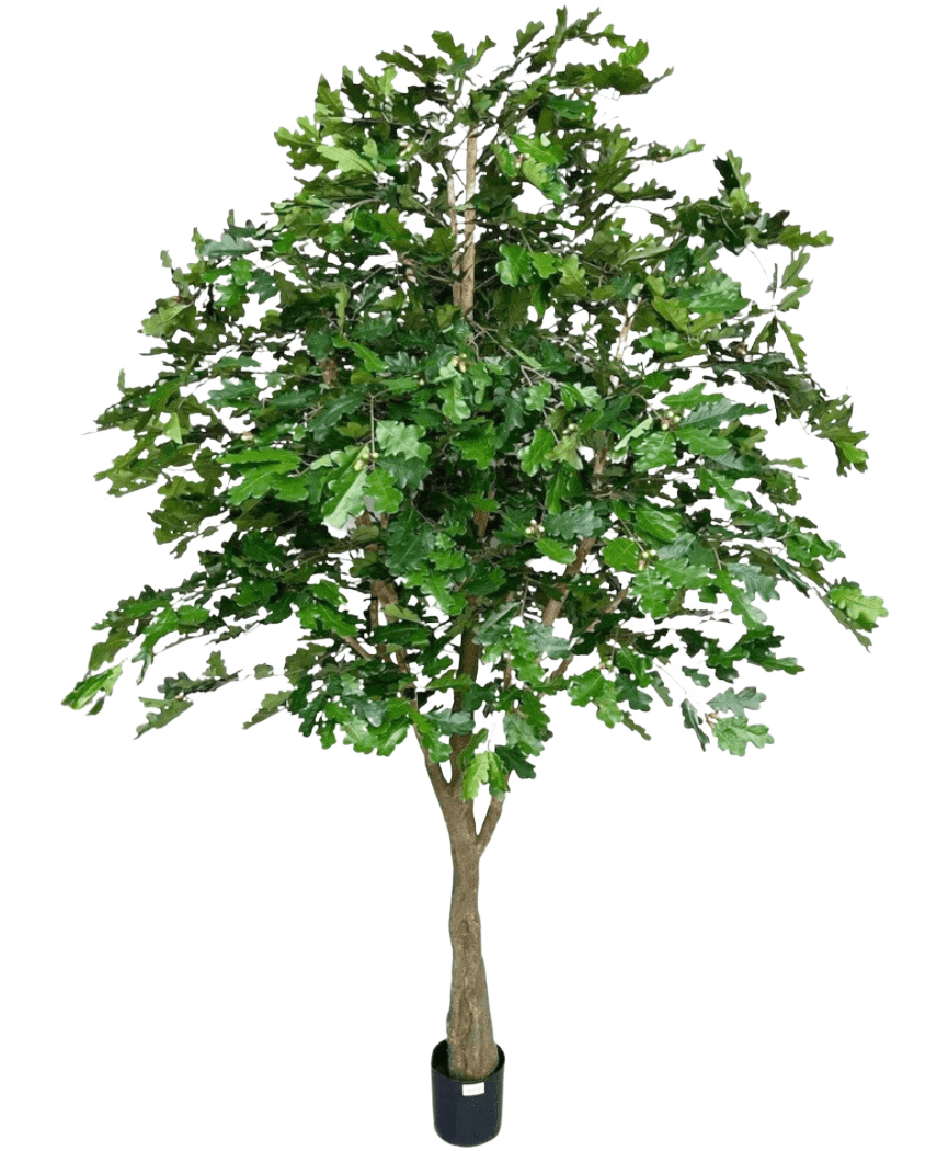 Le chêne artificiel de 270 cm a des feuilles vertes denses et un tronc brun épais dans un petit pot noir, sur un fond blanc - parfait comme arbre artificiel pour l'intérieur.