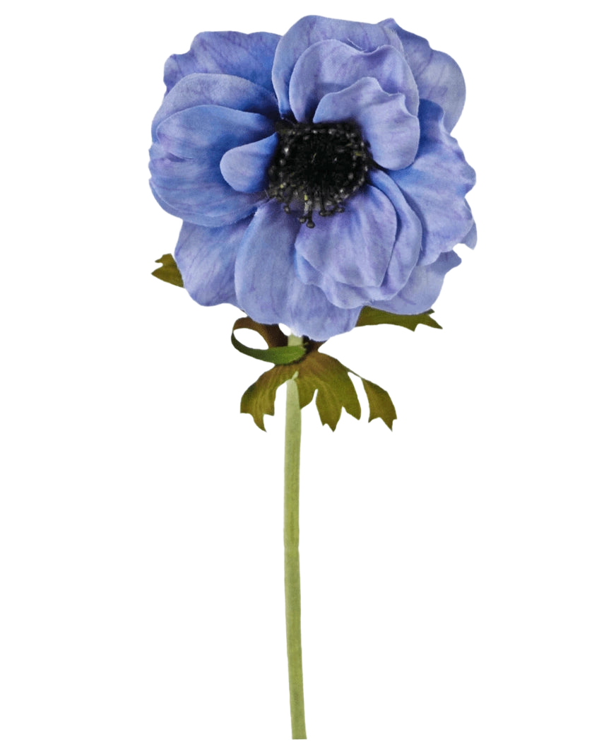 Une seule fleur artificielle d'anémone de 35 cm bleue avec des pétales bleus volants, un cœur foncé et une tige verte avec quelques feuilles sur fond blanc.