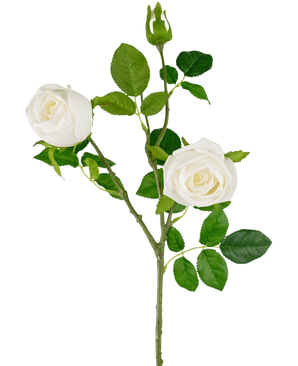 De Kunstrozentak Real Touch wit 72cm heeft een enkele steel met twee bloeiende witte rozen, een rozenknop en verschillende groene bladeren, allemaal tegen een effen witte achtergrond.
