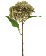 L'Hortensia Artificiel Deluxe 55 cm vert/violet possède une seule tige d'hortensia artificielle avec des pétales verts et violets et deux feuilles vertes sur un fond blanc uni.