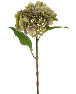 L'Hortensia Artificiel Deluxe 55 cm vert/violet possède une seule tige d'hortensia artificielle avec des pétales verts et violets et deux feuilles vertes sur un fond blanc uni.