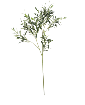 La Feuille d'olivier artificielle 90 cm UV, aux fines feuilles vertes et à la longue tige, se détache sur un fond blanc pour une subtile ambiance méditerranéenne.