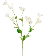 Het Kunstkornoelje Real Touch Wit 74cm heeft een enkele hoge steel met meerdere takken van delicate witte bloemen en groene bladeren, tegen een effen lichte achtergrond.