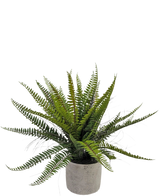 La Fougère de Boston artificielle 48 cm en pot décoratif est une plante de fougère verte réaliste présentée dans un pot décoratif en béton, sur fond blanc.