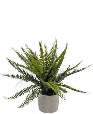 La Fougère de Boston artificielle 48 cm en pot décoratif est une plante de fougère verte réaliste présentée dans un pot décoratif en béton, sur fond blanc.