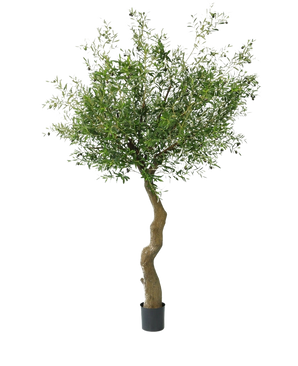 L'olivier artificiel de 270 cm avec des olives a un tronc torsadé et des feuilles vertes pleines avec des olives réalistes, joliment présentées dans un pot et représentées sur un fond blanc.