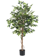 La Plante Artificielle Ficus 150 cm ignifuge possède des feuilles vertes et plusieurs troncs bruns élancés et torsadés dans un pot noir. Le matériau ignifuge offre une sécurité supplémentaire dans n'importe quelle pièce.