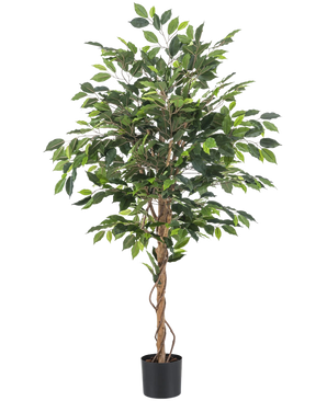 La Plante Artificielle Ficus 150 cm ignifuge possède des feuilles vertes et plusieurs troncs bruns élancés et torsadés dans un pot noir. Le matériau ignifuge offre une sécurité supplémentaire dans n'importe quelle pièce.