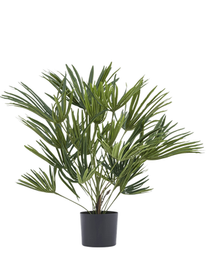 La plante artificielle Baby Palm Fan en pot UV 50 cm a de longues feuilles vertes fines dans un pot élégant - idéal pour ajouter une touche élégante à votre intérieur ou pour combiner avec des pots décoratifs pour plus de style.