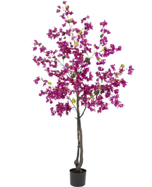 De Kunstplant Bougainvillea 180 cm Paars heeft donkere takken, levendige paarse bloemen en groene bladeren in een zwarte pot - perfect als kleurrijke kunstplant voor je woonkamer.