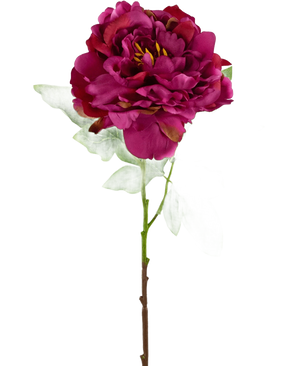 La Fleur Artificielle Pivoine 61 cm rose est une pivoine artificielle rose foncé avec des pétales superposés, des feuilles vertes et une longue tige, représentée sur un fond blanc uni.