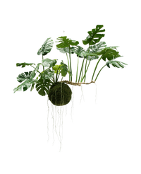 Plante artificielle tombante Monstera Deluxe 80 cm