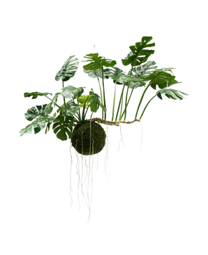 La plante artificielle suspendue Monstera Deluxe 80 cm, avec ses feuilles vertes luxuriantes et ses longues racines visibles, s'accroche sur un fond blanc et donne immédiatement un look tropical à votre intérieur.