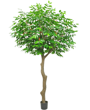 De Kunst Koffieboom 300 cm is een hoge kunstboom met een slanke, gebogen bruine stam en weelderige groene bladeren, in een kleine zwarte pot op een witte achtergrond.