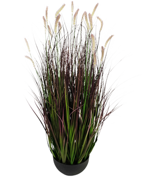 Le bonsaï d'herbe d'oignon chenille à gazon artificiel est une plante artificielle ignifuge de 100 cm avec de longues lames vertes et violet foncé avec des panaches doux de couleur crème, représentés sur un fond blanc uni.