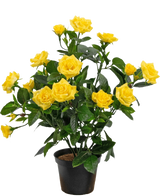 La Plante Artificielle Mini Rose UV 35 cm jaune est une plante artificielle en pot avec de multiples tiges de roses jaune vif et de feuilles vertes, présentées dans un petit récipient noir sur un fond simple.