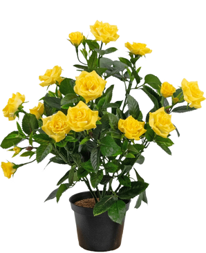 La Plante Artificielle Mini Rose UV 35 cm jaune est une plante artificielle en pot avec de multiples tiges de roses jaune vif et de feuilles vertes, présentées dans un petit récipient noir sur un fond simple.