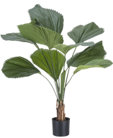 La plante artificielle Lucuala Grandis 120 cm possède de grandes feuilles vertes en forme d'éventail et plusieurs tiges dans un simple pot noir, sur un fond blanc uni.