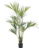 De Kunstpalm Kentia 165 cm heeft lange, slanke groene bladeren en meerdere stelen. Hij staat in een kleine zwarte pot tegen een effen witte achtergrond.