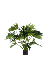 La Plante Artificielle Philodendron UV 90 cm a de grandes feuilles vertes profondément lobées dans un pot, parfaite comme plante d'intérieur nécessitant peu d'entretien pour ajouter de la verdure à l'intérieur. Sur un fond blanc il donne un style naturel sans entretien.